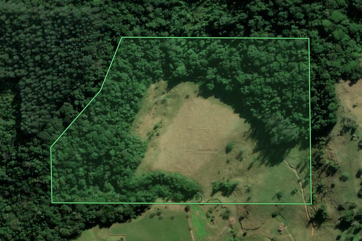 Imagem de satélite do imóvel rural em Braço do Norte (SC), com o contorno declarado no CAR desenhado por cima.