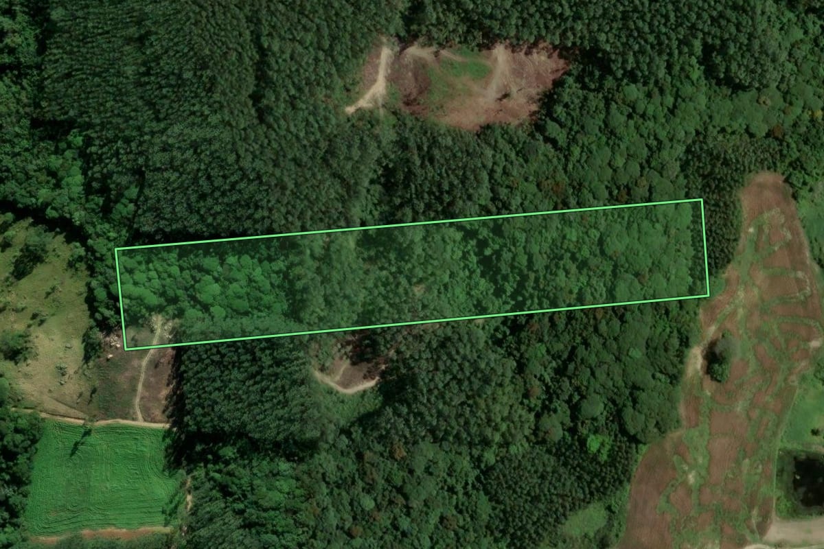 Imagem de satélite do imóvel rural em Braço do Norte (SC), com o contorno declarado no CAR desenhado por cima.
