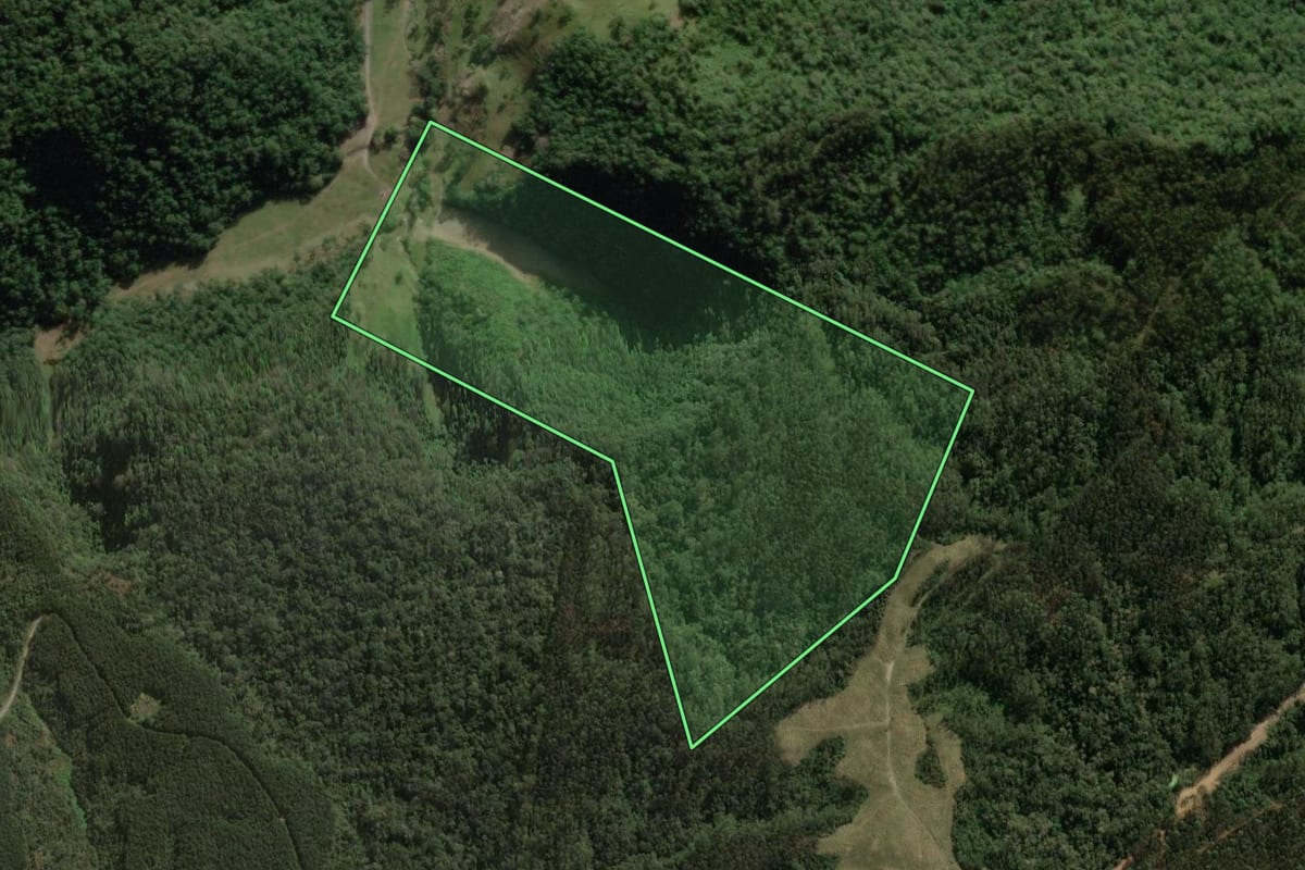 Imagem de satélite do imóvel rural em Braço do Trombudo (SC), com o contorno declarado no CAR desenhado por cima.