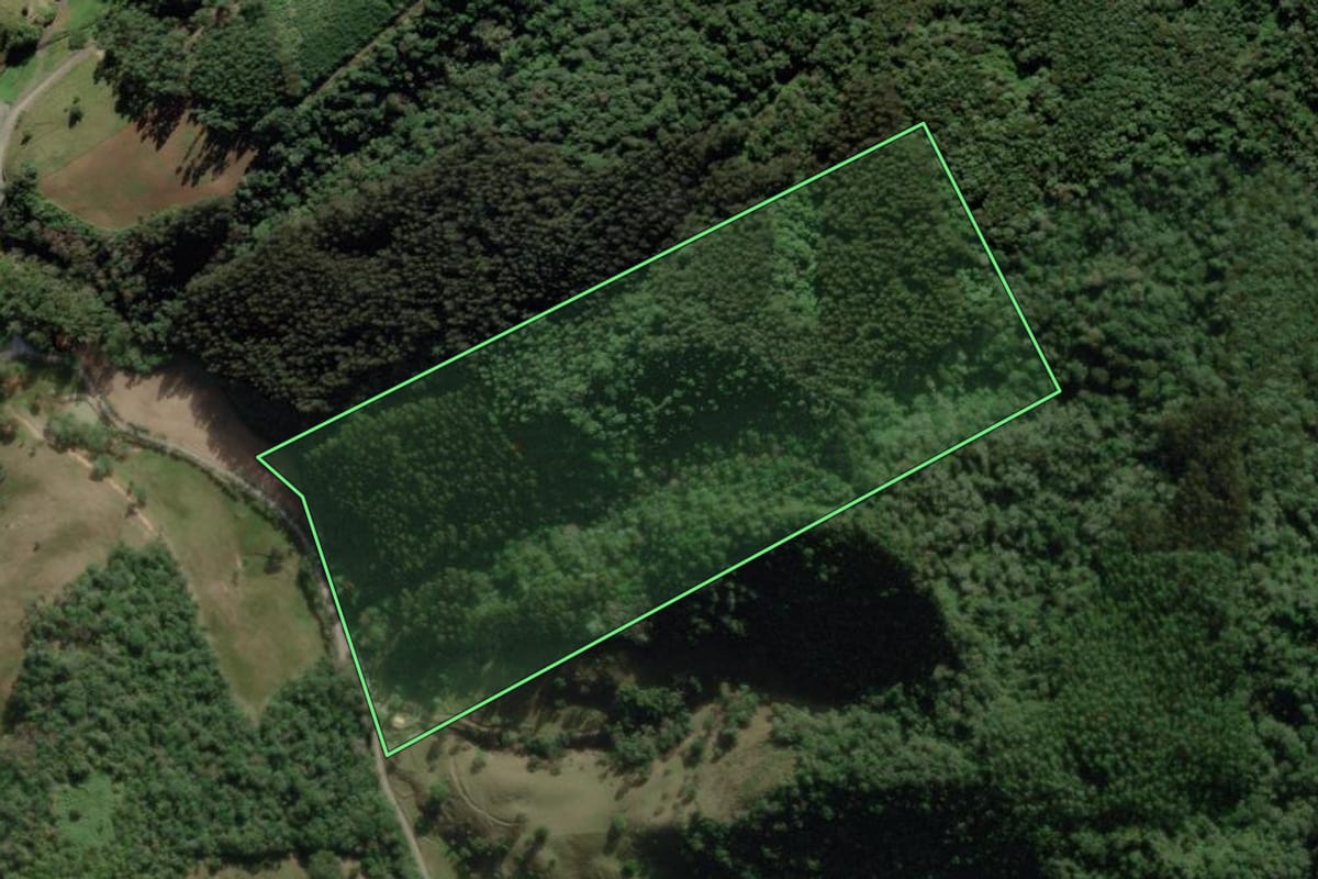 Imagem de satélite do imóvel rural em Braço do Trombudo (SC), com o contorno declarado no CAR desenhado por cima.