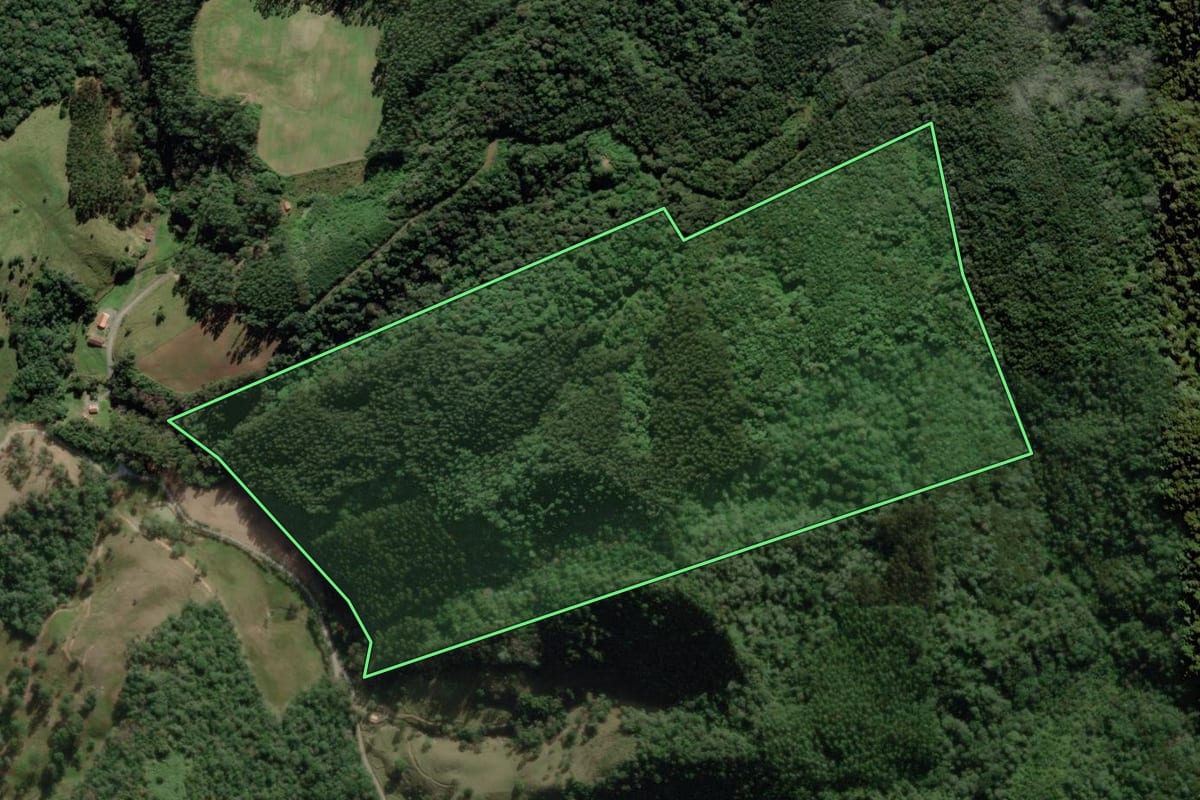 Imagem de satélite do imóvel rural em Braço do Trombudo (SC), com o contorno declarado no CAR desenhado por cima.