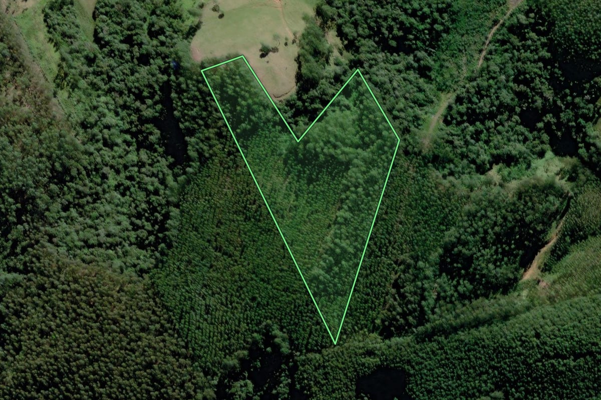 Imagem de satélite do imóvel rural em Braço do Trombudo (SC), com o contorno declarado no CAR desenhado por cima.