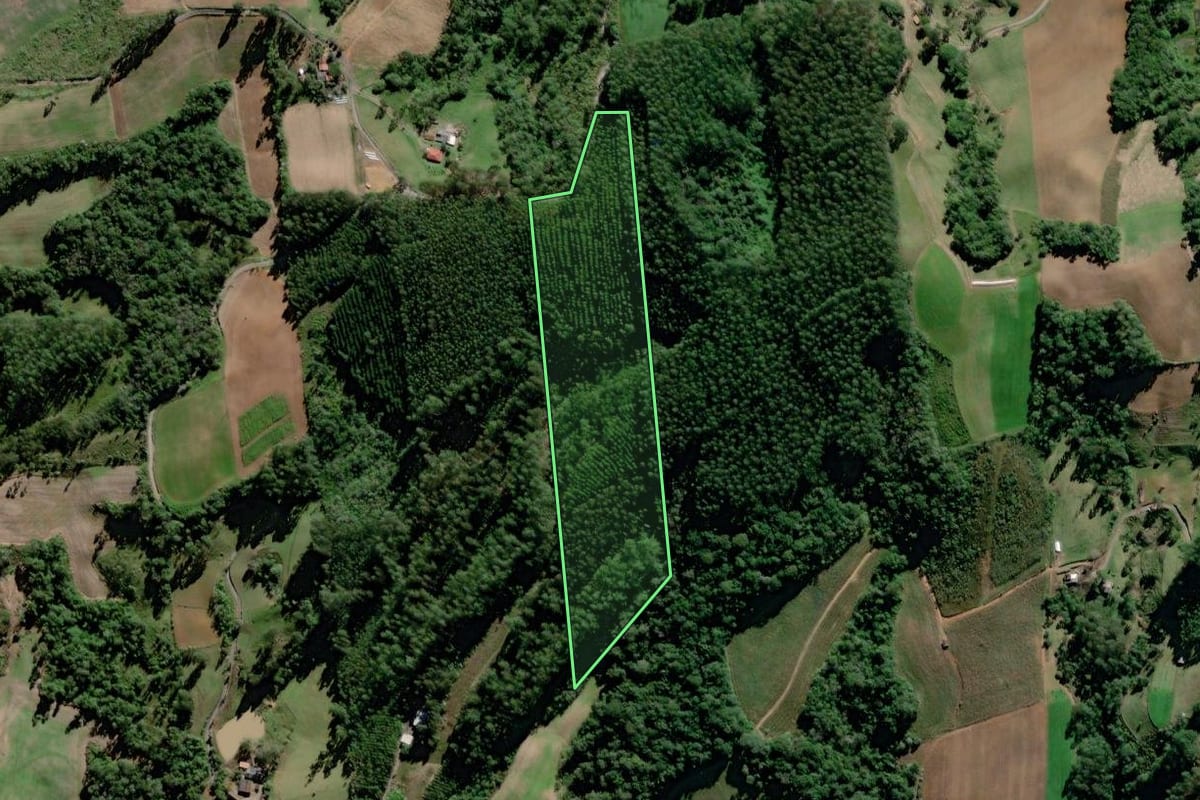 Imagem de satélite do imóvel rural em Braço do Trombudo (SC), com o contorno declarado no CAR desenhado por cima.
