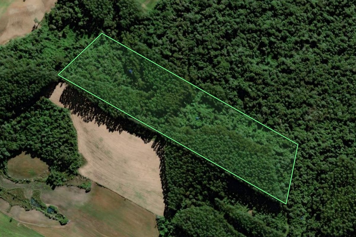 Imagem de satélite do imóvel rural em Braço do Trombudo (SC), com o contorno declarado no CAR desenhado por cima.