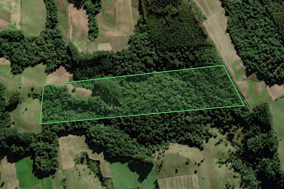Imagem de satélite do imóvel rural em Braço do Trombudo (SC), com o contorno declarado no CAR desenhado por cima.