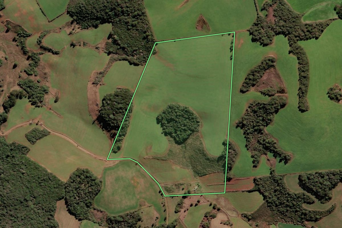 Imagem de satélite do imóvel rural em Brunópolis (SC), com o contorno declarado no CAR desenhado por cima.
