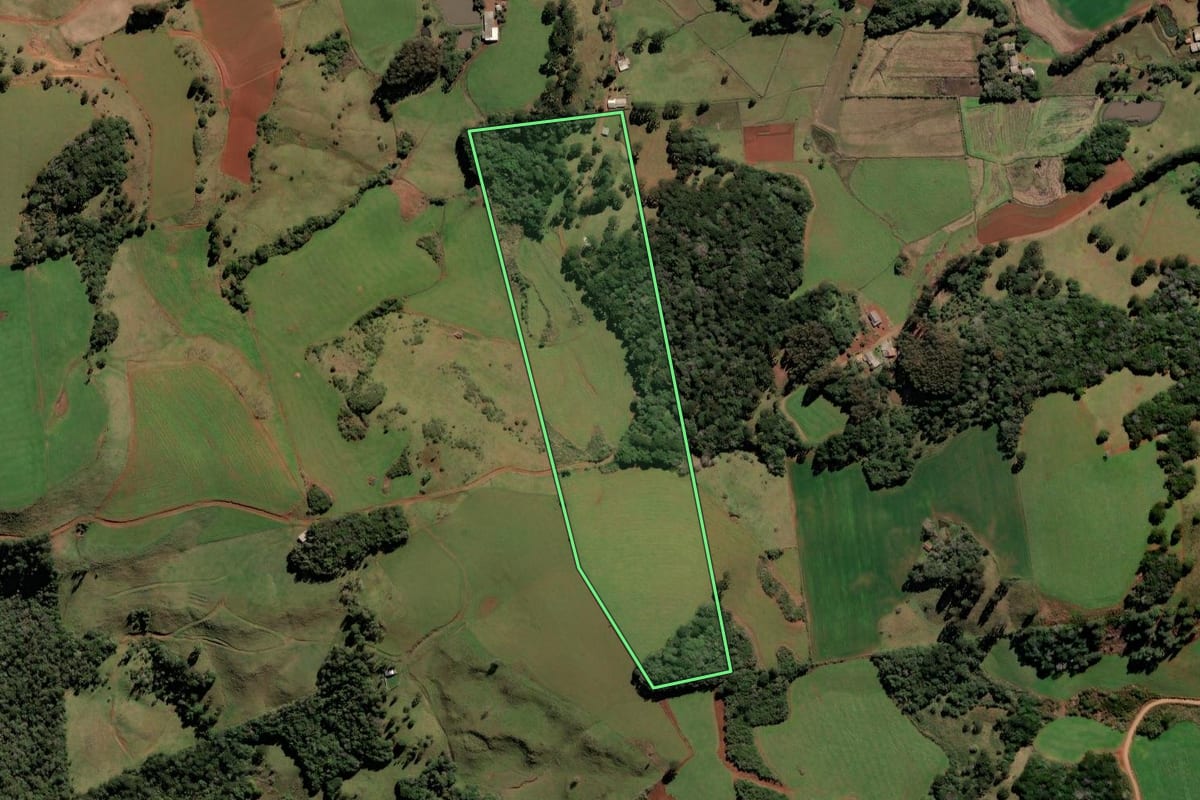 Imagem de satélite do imóvel rural em Brunópolis (SC), com o contorno declarado no CAR desenhado por cima.
