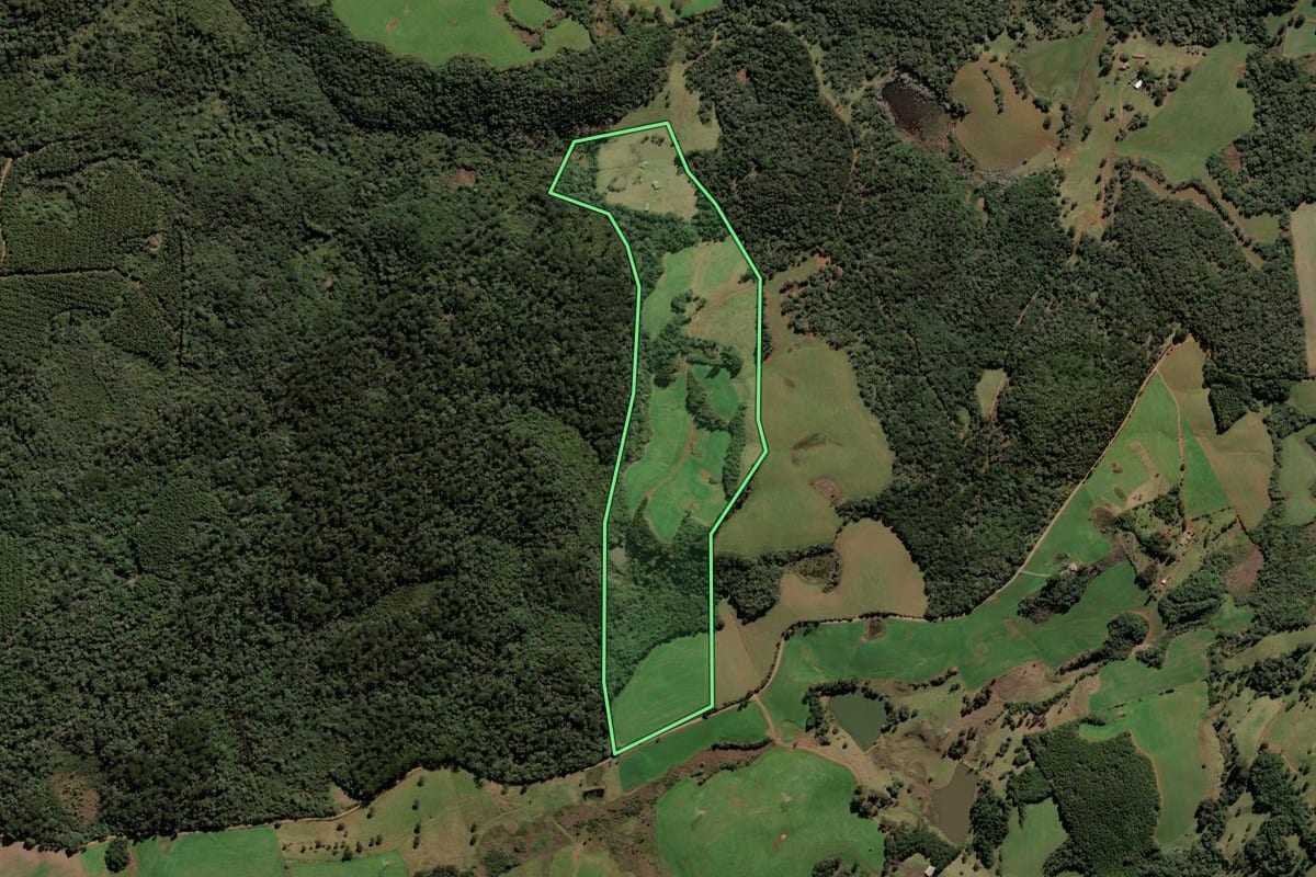 Imagem de satélite do imóvel rural em Brunópolis (SC), com o contorno declarado no CAR desenhado por cima.