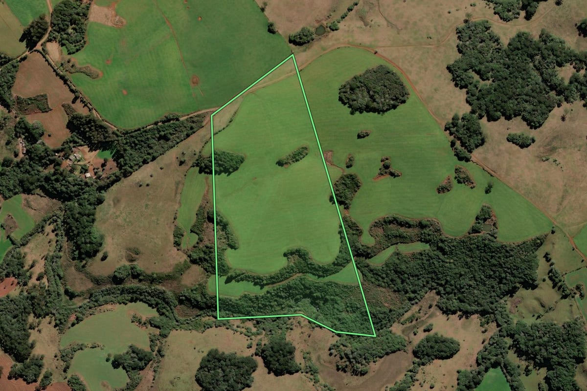 Imagem de satélite do imóvel rural em Brunópolis (SC), com o contorno declarado no CAR desenhado por cima.