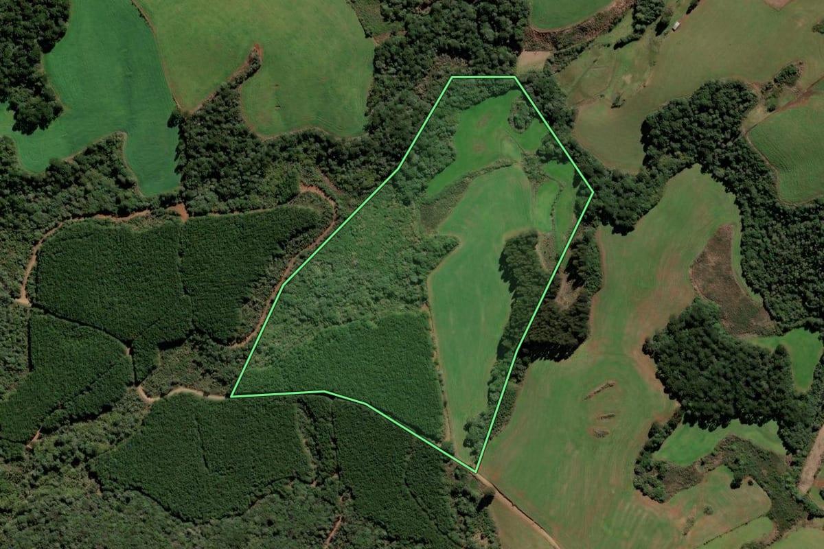 Imagem de satélite do imóvel rural em Brunópolis (SC), com o contorno declarado no CAR desenhado por cima.