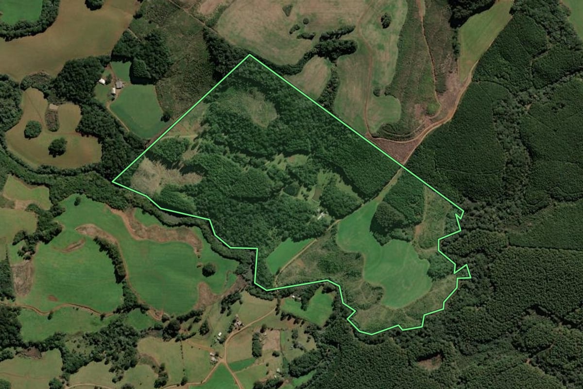 Imagem de satélite do imóvel rural em Brunópolis (SC), com o contorno declarado no CAR desenhado por cima.