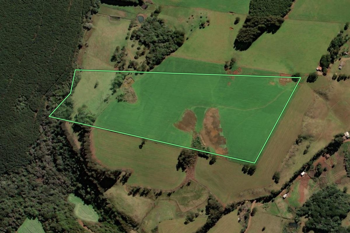 Imagem de satélite do imóvel rural em Brunópolis (SC), com o contorno declarado no CAR desenhado por cima.