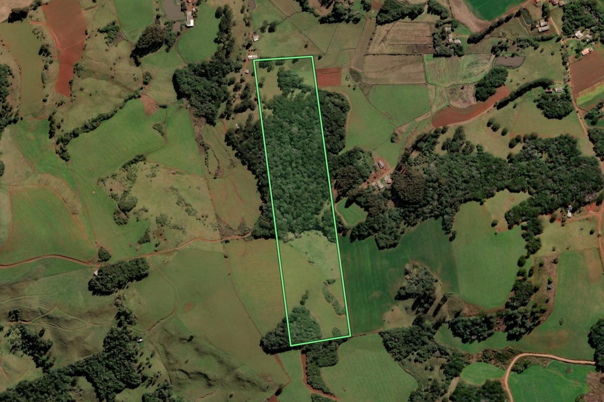 Imagem de satélite do imóvel rural em Brunópolis (SC), com o contorno declarado no CAR desenhado por cima.