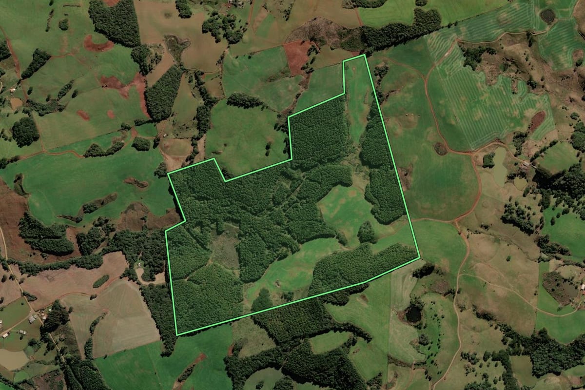 Imagem de satélite do imóvel rural em Brunópolis (SC), com o contorno declarado no CAR desenhado por cima.