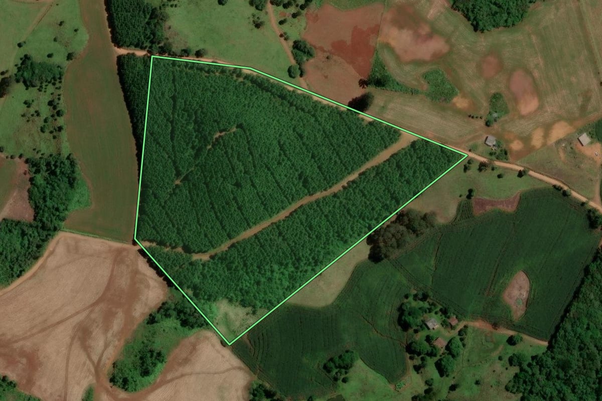 Imagem de satélite do imóvel rural em Brunópolis (SC), com o contorno declarado no CAR desenhado por cima.