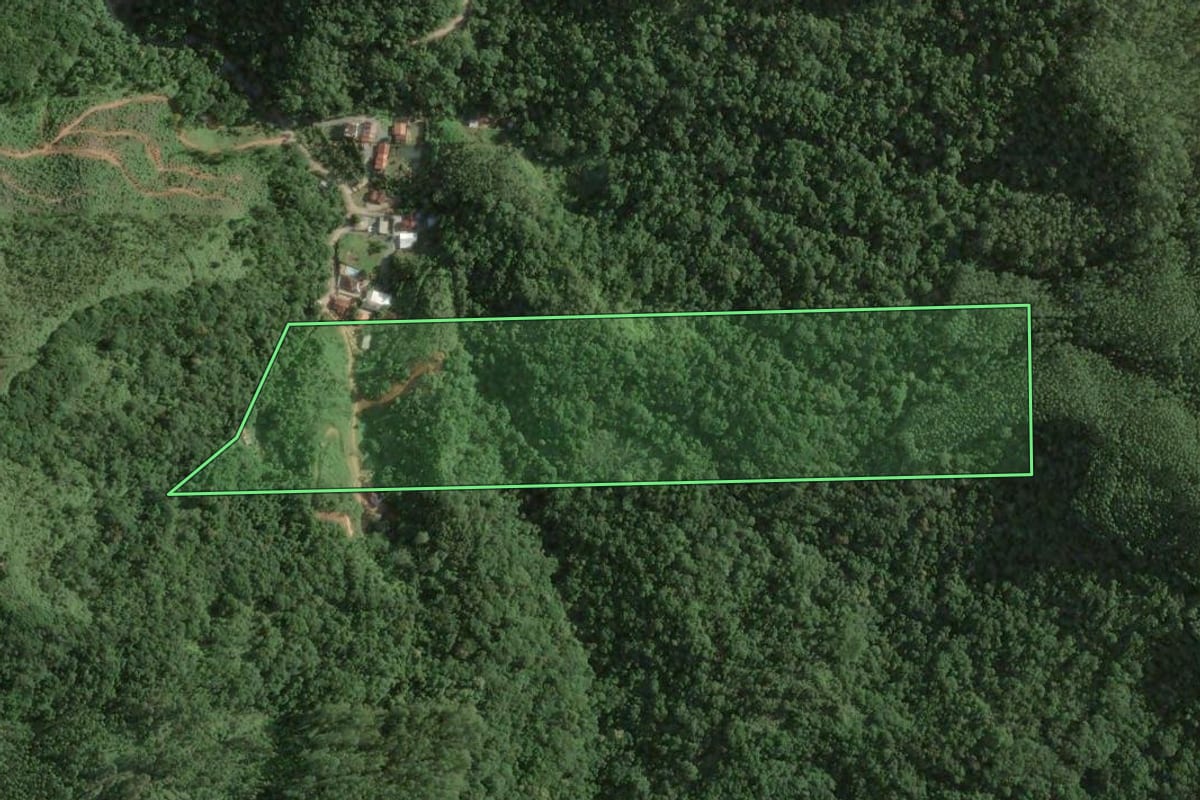 Imagem de satélite do imóvel rural em Brusque (SC), com o contorno declarado no CAR desenhado por cima.