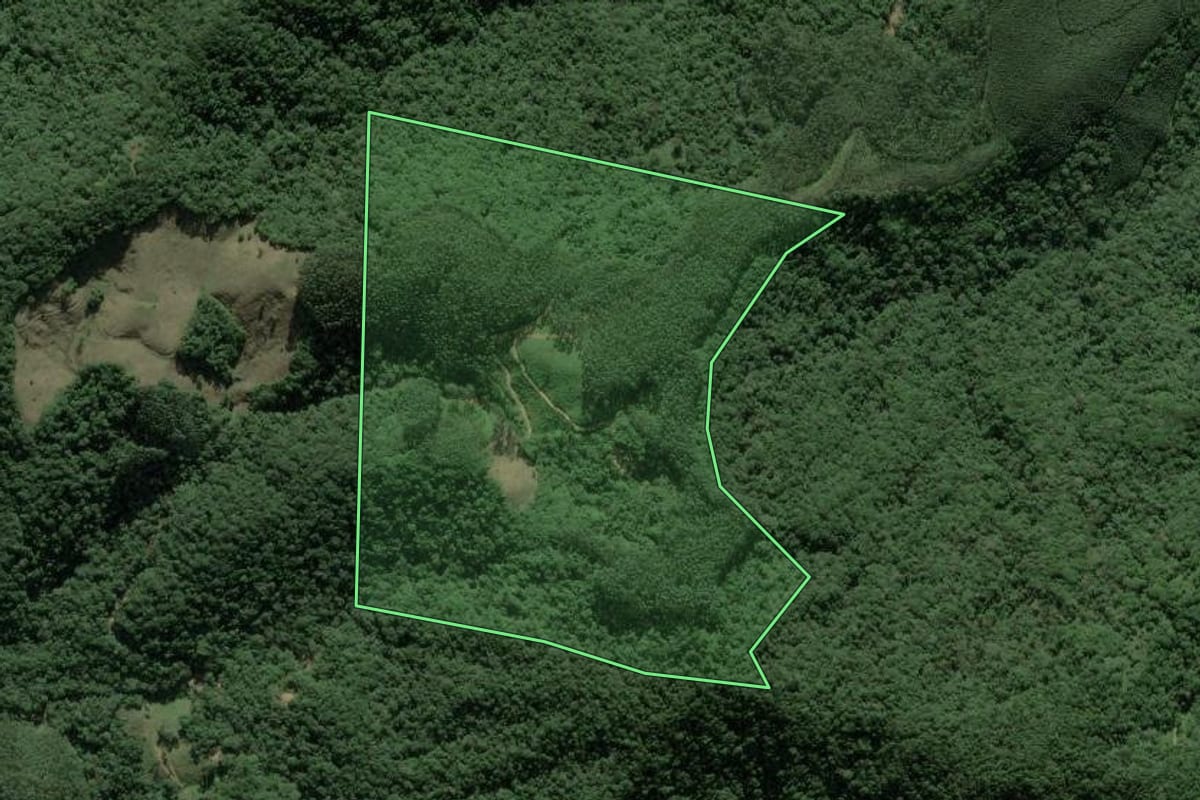 Imagem de satélite do imóvel rural em Brusque (SC), com o contorno declarado no CAR desenhado por cima.
