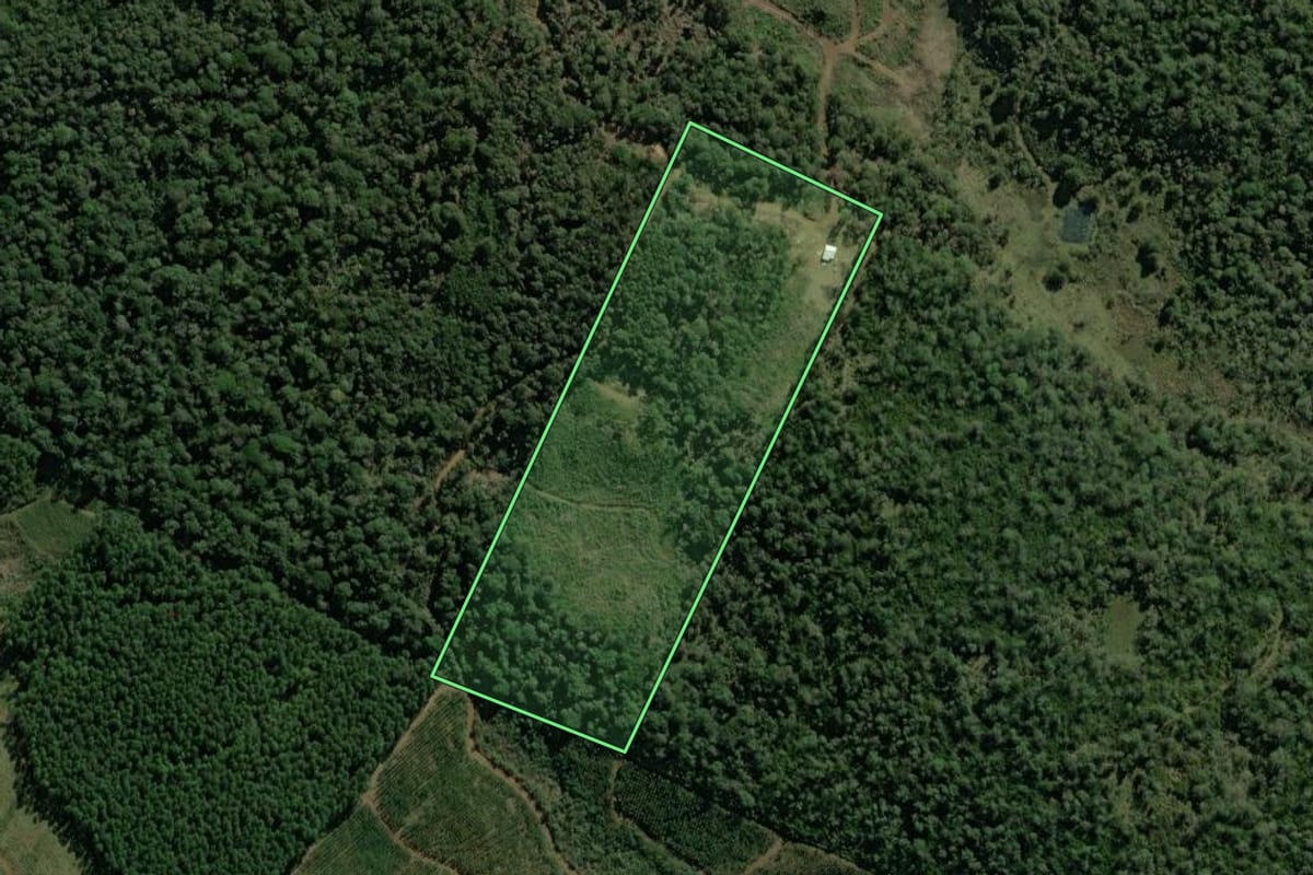 Imagem de satélite do imóvel rural em Caçador (SC), com o contorno declarado no CAR desenhado por cima.