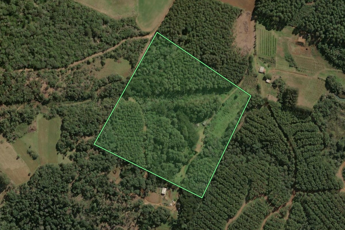 Imagem de satélite do imóvel rural em Caçador (SC), com o contorno declarado no CAR desenhado por cima.