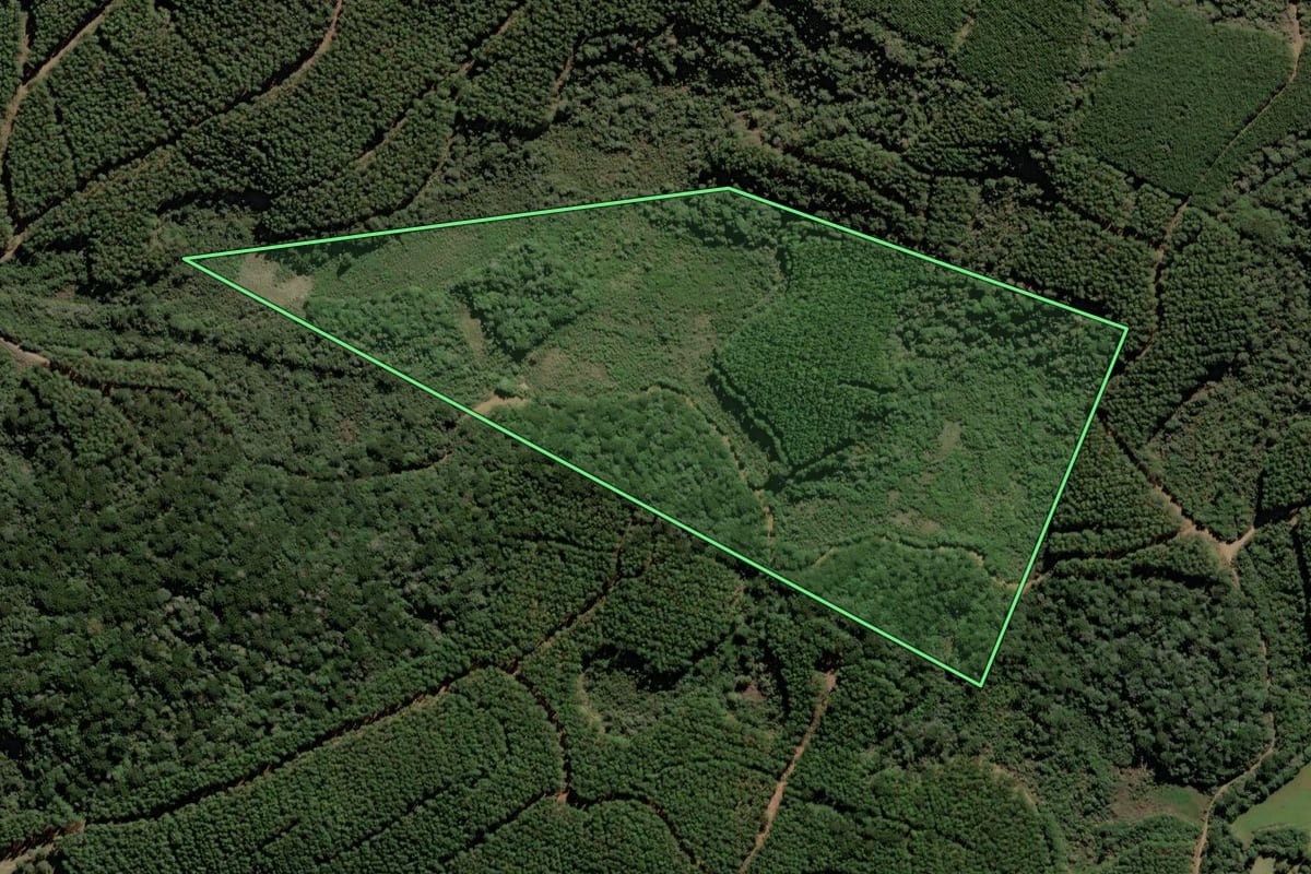 Imagem de satélite do imóvel rural em Caçador (SC), com o contorno declarado no CAR desenhado por cima.