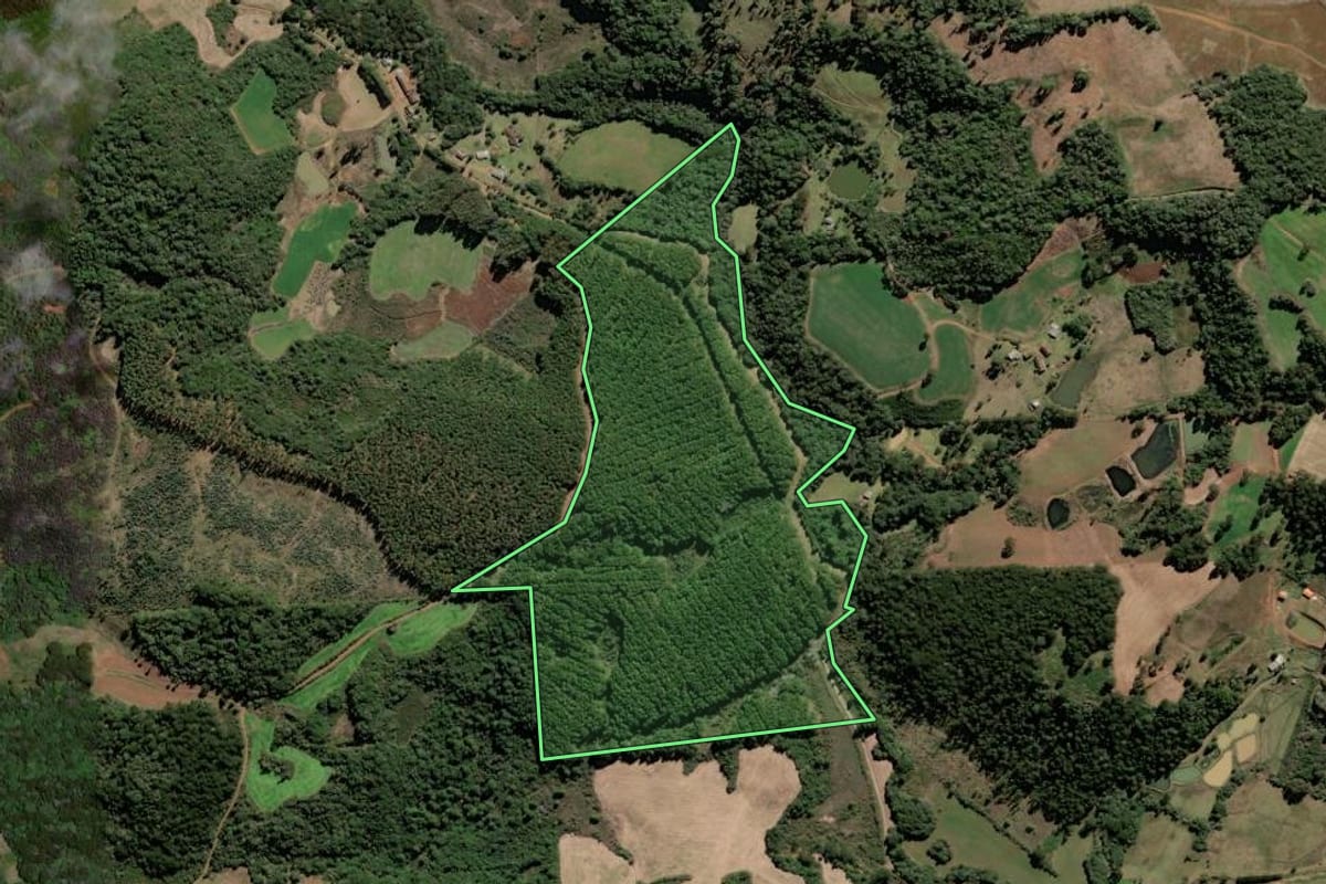Imagem de satélite do imóvel rural em Caçador (SC), com o contorno declarado no CAR desenhado por cima.
