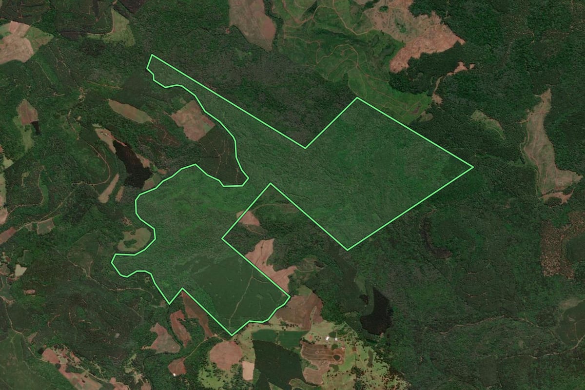 Imagem de satélite do imóvel rural em Caçador (SC), com o contorno declarado no CAR desenhado por cima.