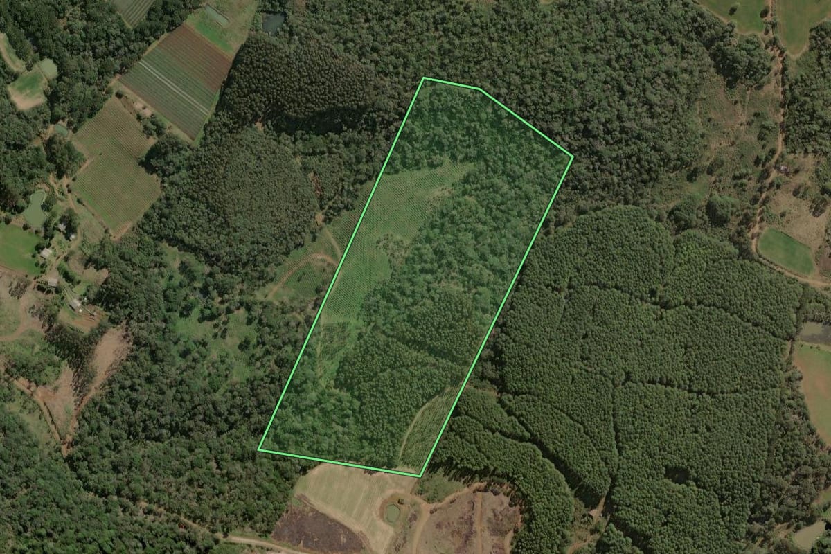 Imagem de satélite do imóvel rural em Caçador (SC), com o contorno declarado no CAR desenhado por cima.