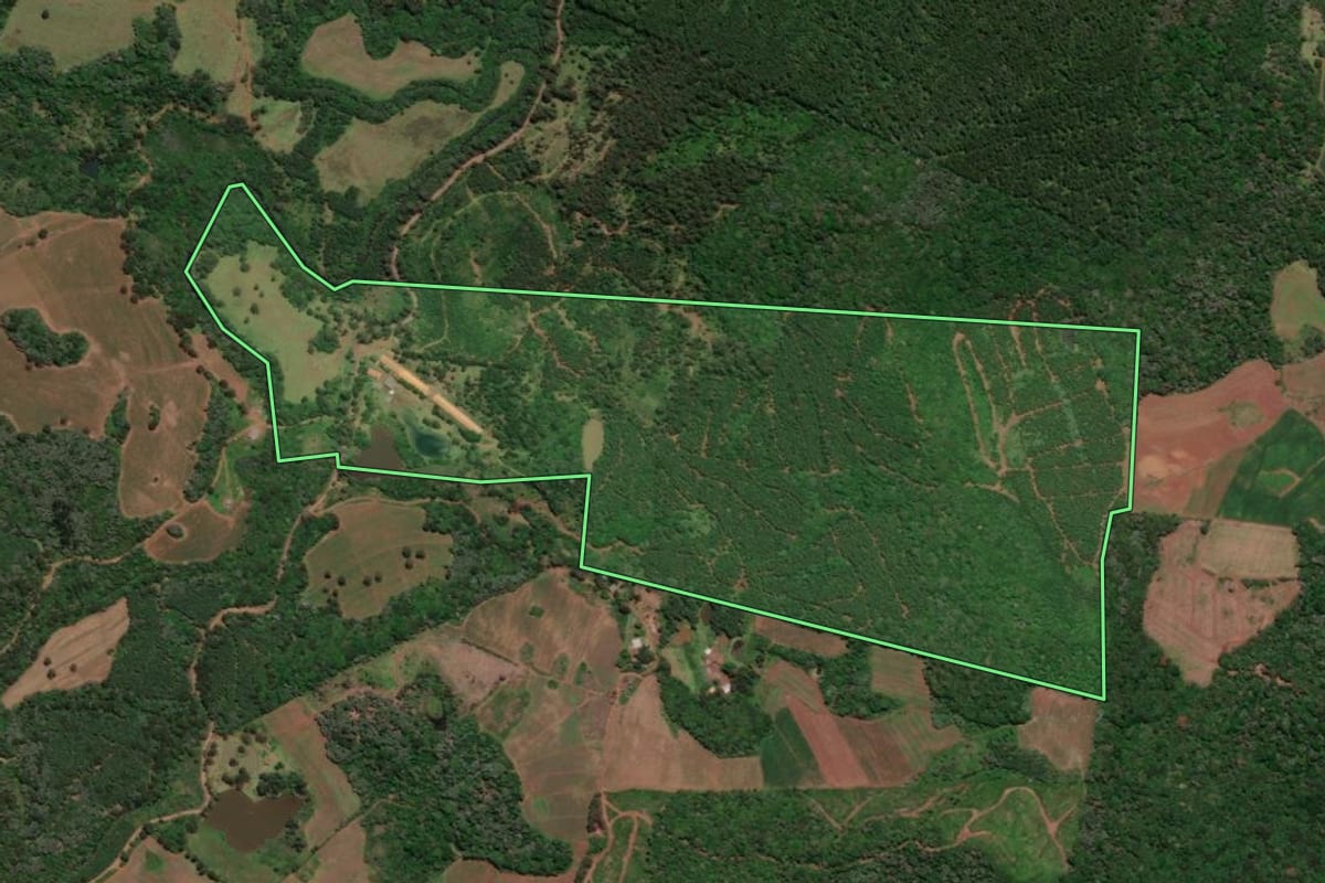 Imagem de satélite do imóvel rural em Caçador (SC), com o contorno declarado no CAR desenhado por cima.