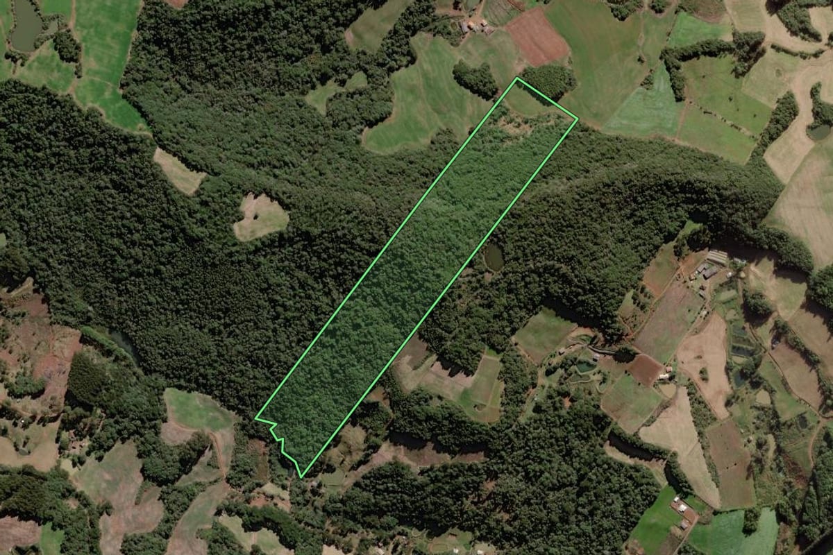 Imagem de satélite do imóvel rural em Caçador (SC), com o contorno declarado no CAR desenhado por cima.