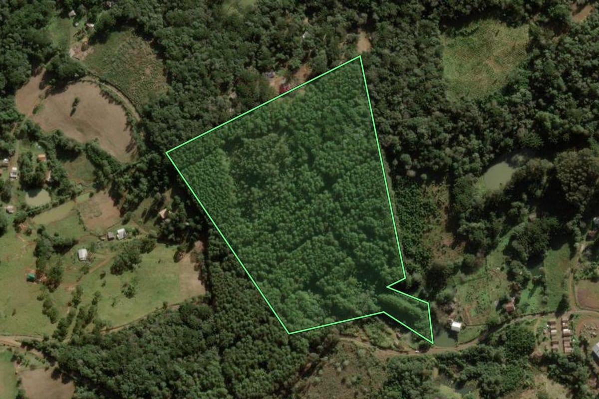 Imagem de satélite do imóvel rural em Caçador (SC), com o contorno declarado no CAR desenhado por cima.