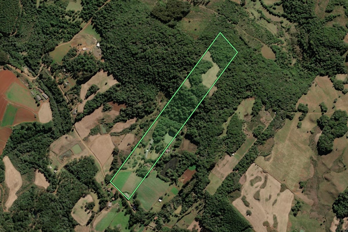 Imagem de satélite do imóvel rural em Caçador (SC), com o contorno declarado no CAR desenhado por cima.