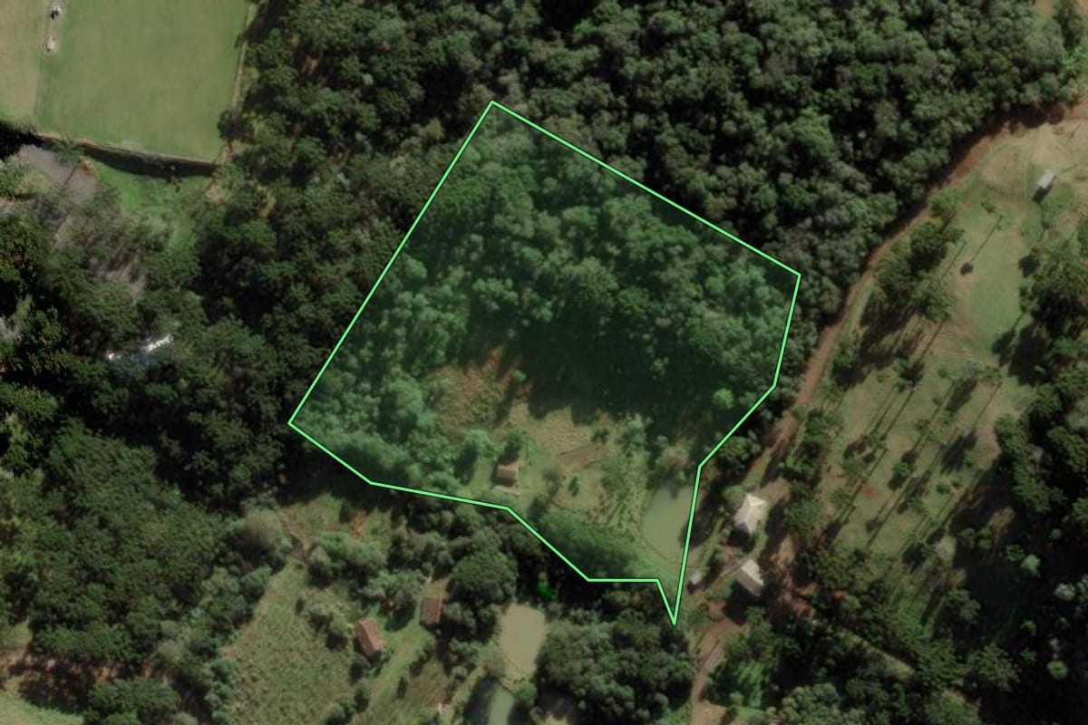 Imagem de satélite do imóvel rural em Caçador (SC), com o contorno declarado no CAR desenhado por cima.