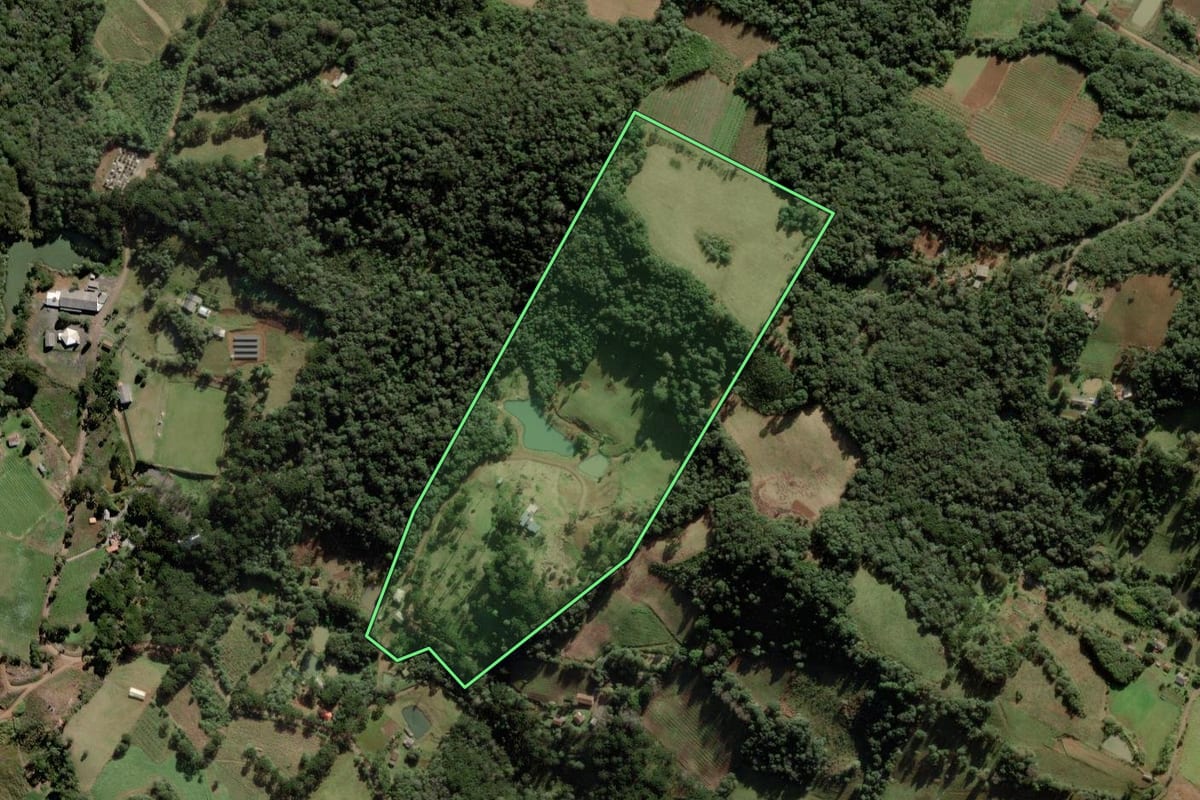 Imagem de satélite do imóvel rural em Caçador (SC), com o contorno declarado no CAR desenhado por cima.