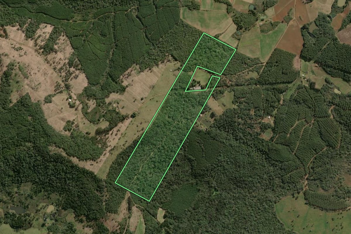 Imagem de satélite do imóvel rural em Caçador (SC), com o contorno declarado no CAR desenhado por cima.