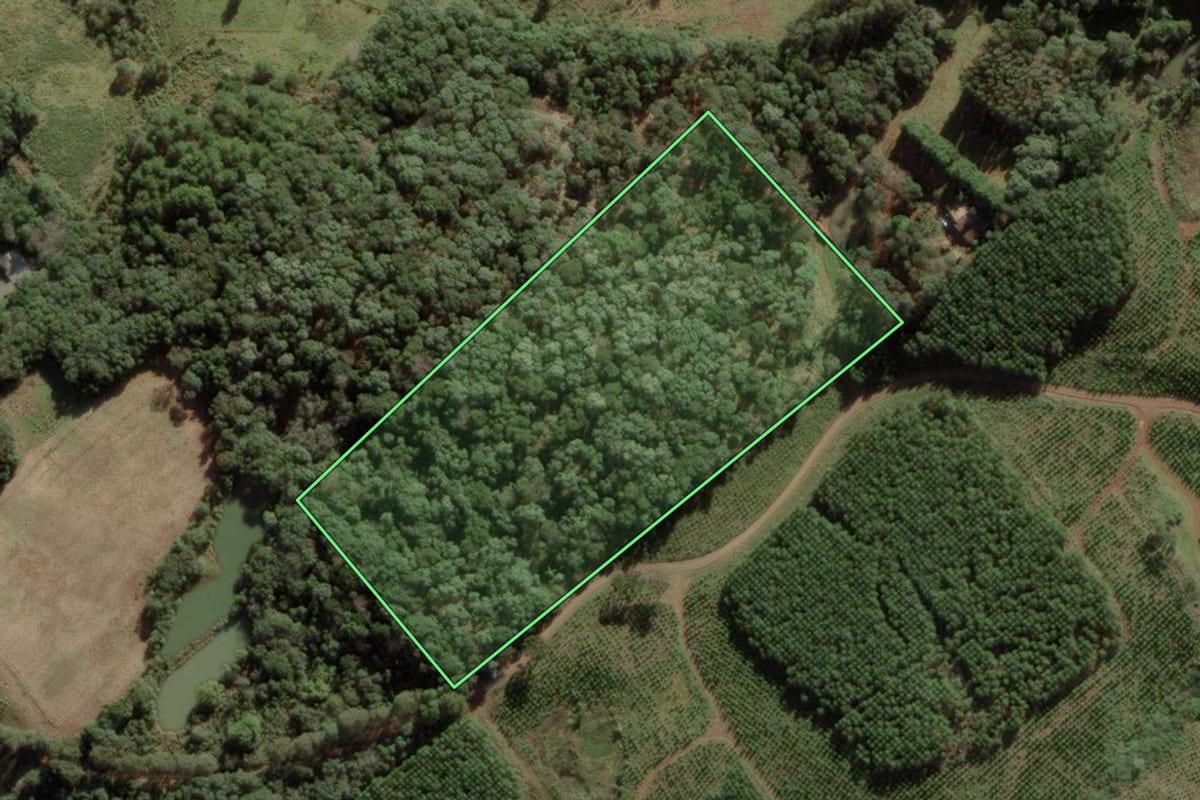 Imagem de satélite do imóvel rural em Caçador (SC), com o contorno declarado no CAR desenhado por cima.