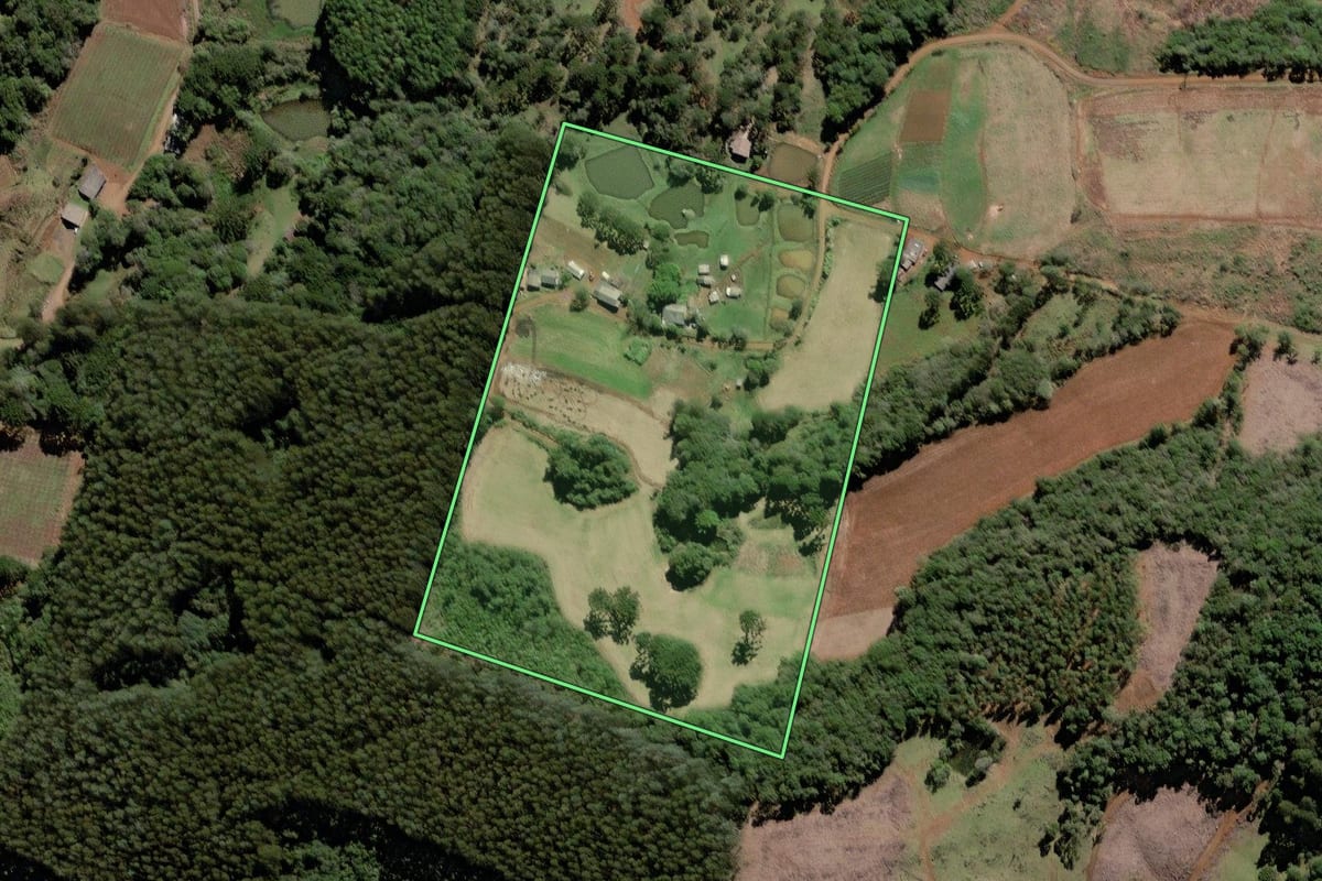 Imagem de satélite do imóvel rural em Caçador (SC), com o contorno declarado no CAR desenhado por cima.