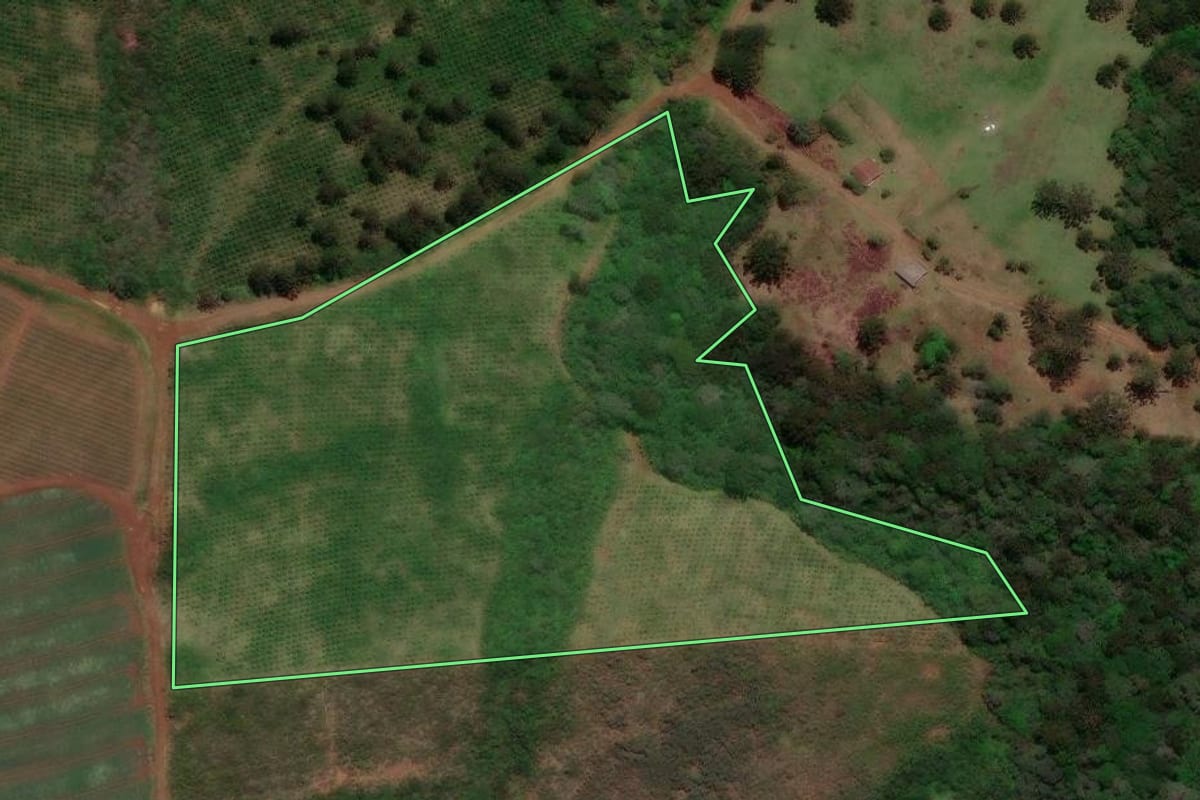 Imagem de satélite do imóvel rural em Caçador (SC), com o contorno declarado no CAR desenhado por cima.