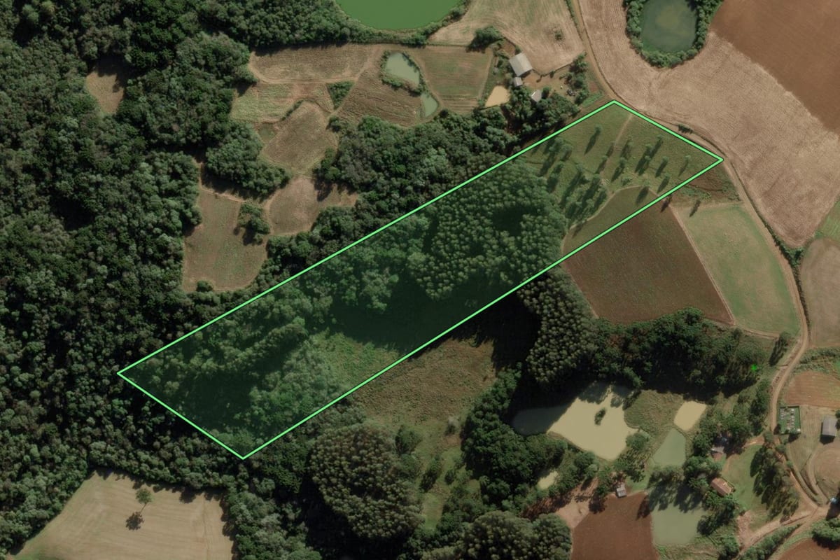 Imagem de satélite do imóvel rural em Caçador (SC), com o contorno declarado no CAR desenhado por cima.