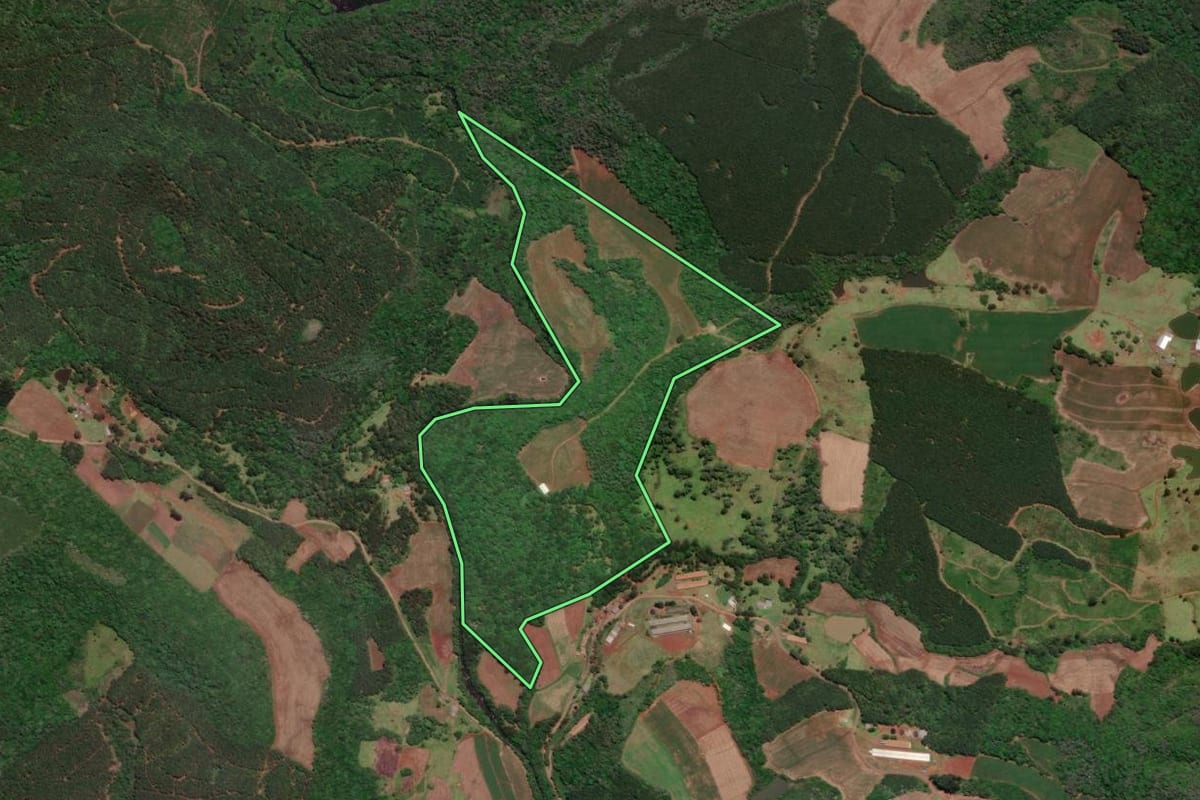 Imagem de satélite do imóvel rural em Caçador (SC), com o contorno declarado no CAR desenhado por cima.