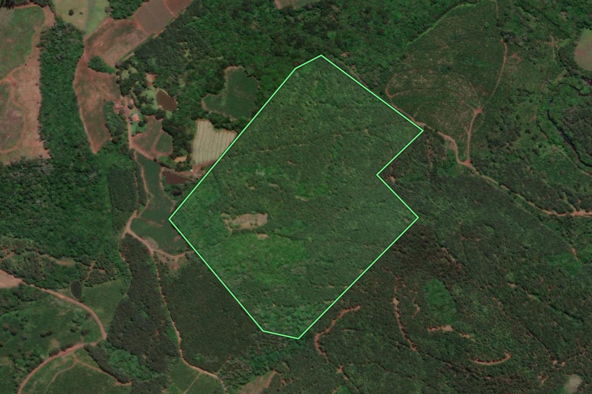 Imagem de satélite do imóvel rural em Caçador (SC), com o contorno declarado no CAR desenhado por cima.