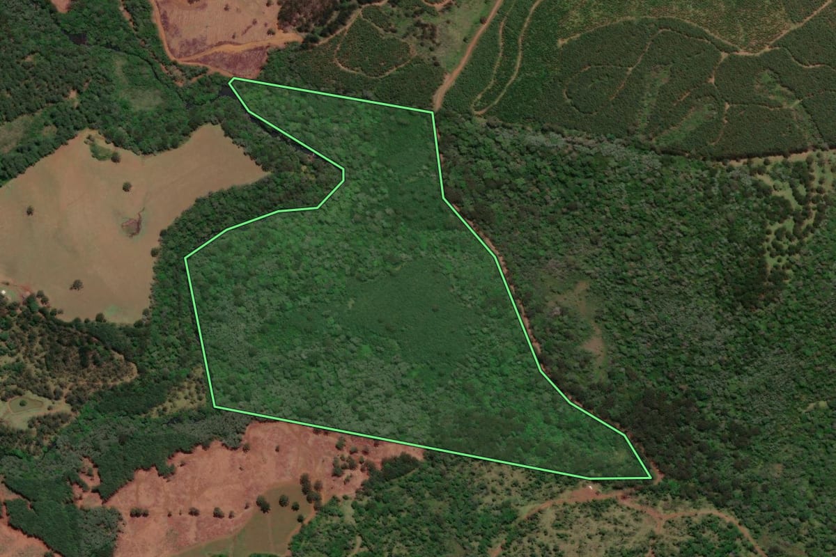 Imagem de satélite do imóvel rural em Caçador (SC), com o contorno declarado no CAR desenhado por cima.