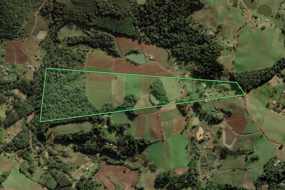 Imagem de satélite do imóvel rural em Caçador (SC), com o contorno declarado no CAR desenhado por cima.