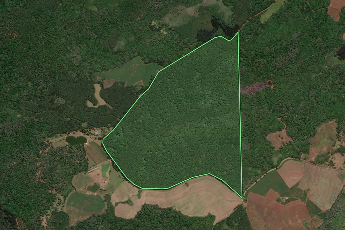 Imagem de satélite do imóvel rural em Caçador (SC), com o contorno declarado no CAR desenhado por cima.
