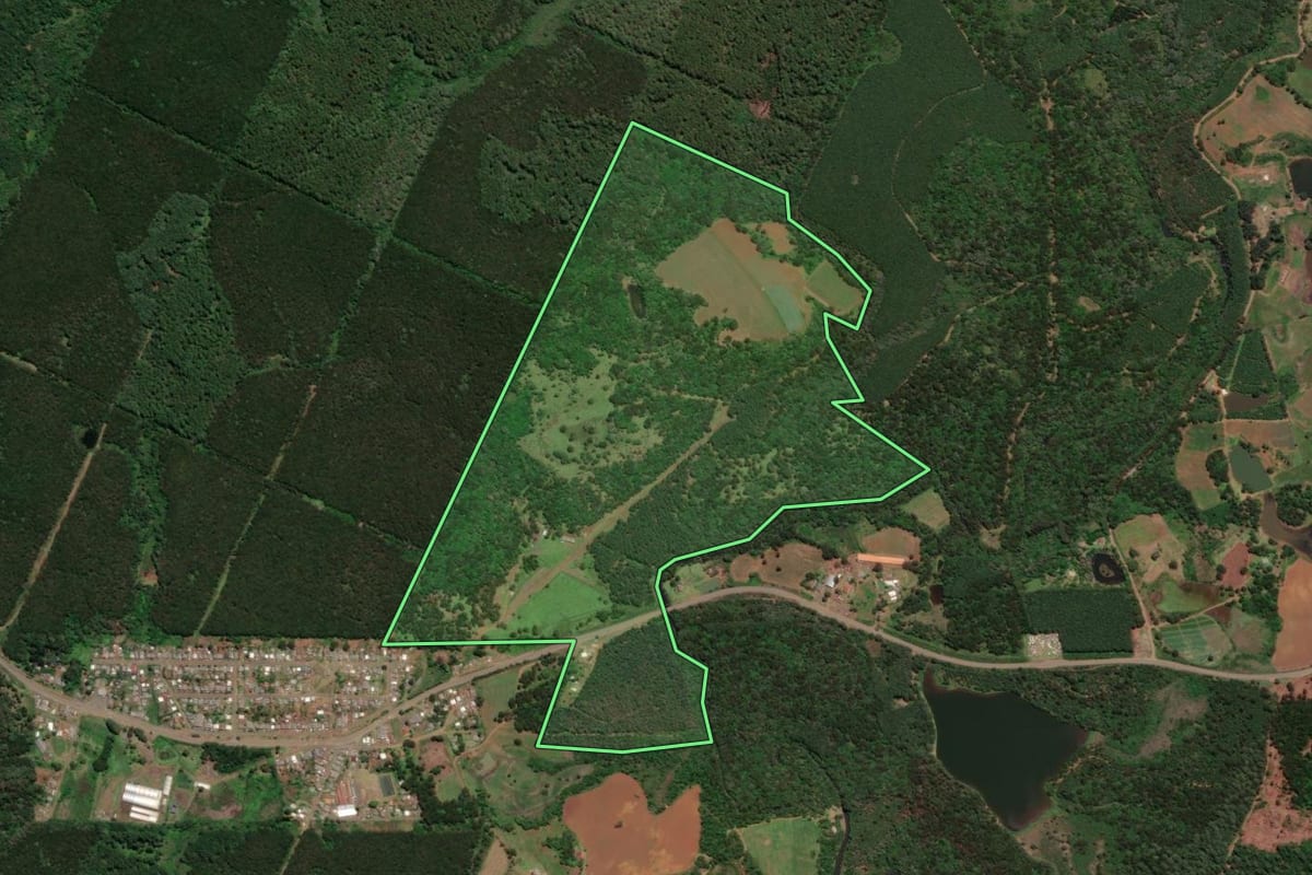 Imagem de satélite do imóvel rural em Caçador (SC), com o contorno declarado no CAR desenhado por cima.