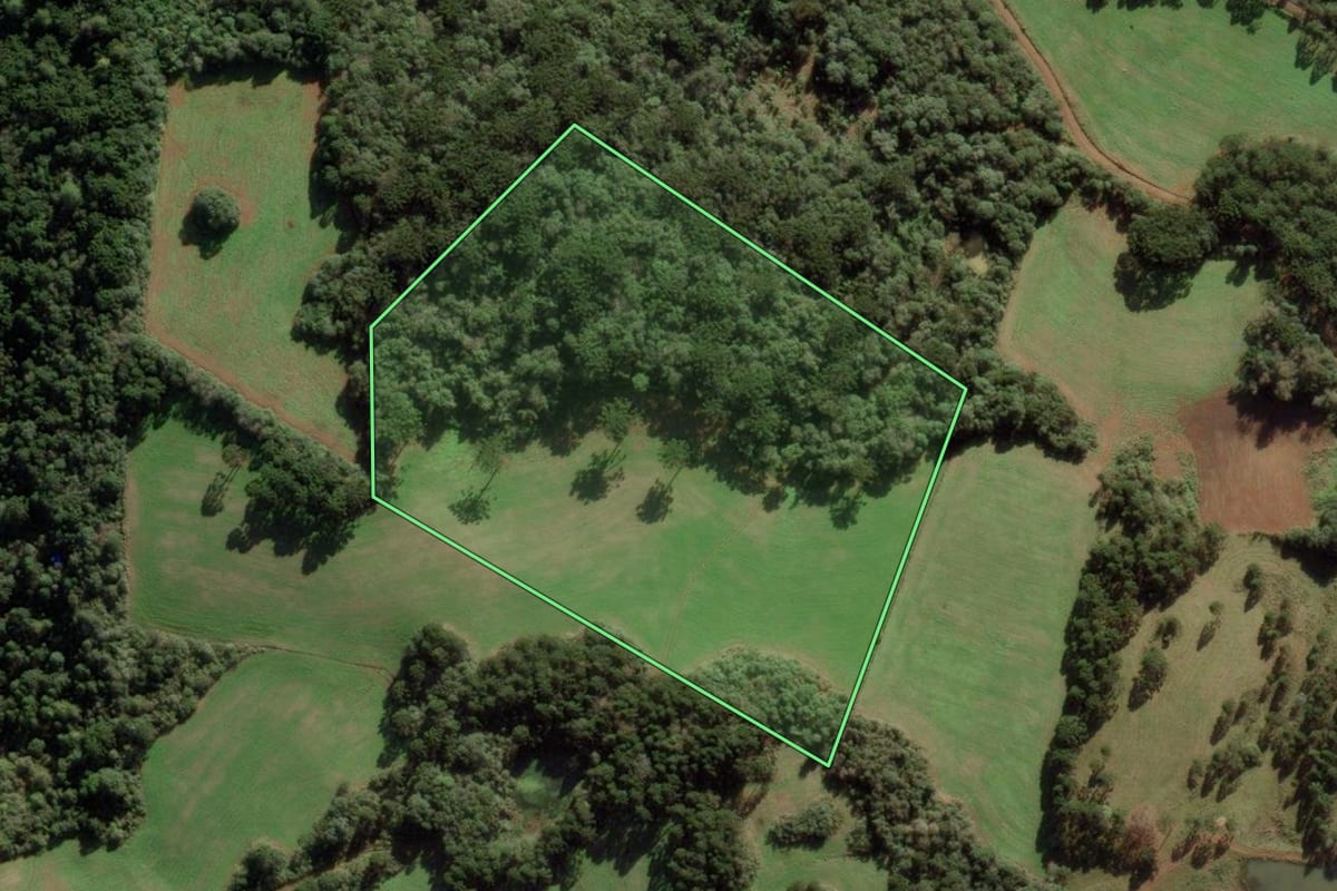 Imagem de satélite do imóvel rural em Caçador (SC), com o contorno declarado no CAR desenhado por cima.