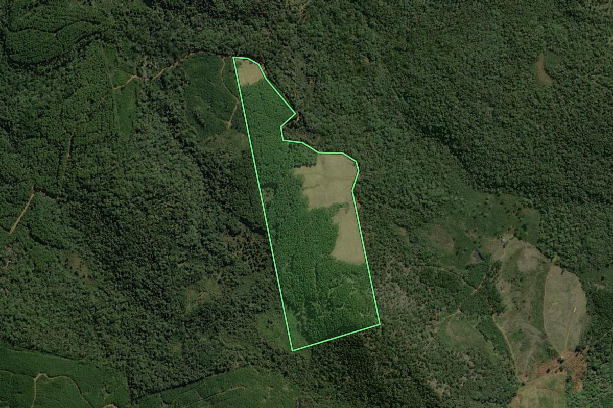 Imagem de satélite do imóvel rural em Caçador (SC), com o contorno declarado no CAR desenhado por cima.