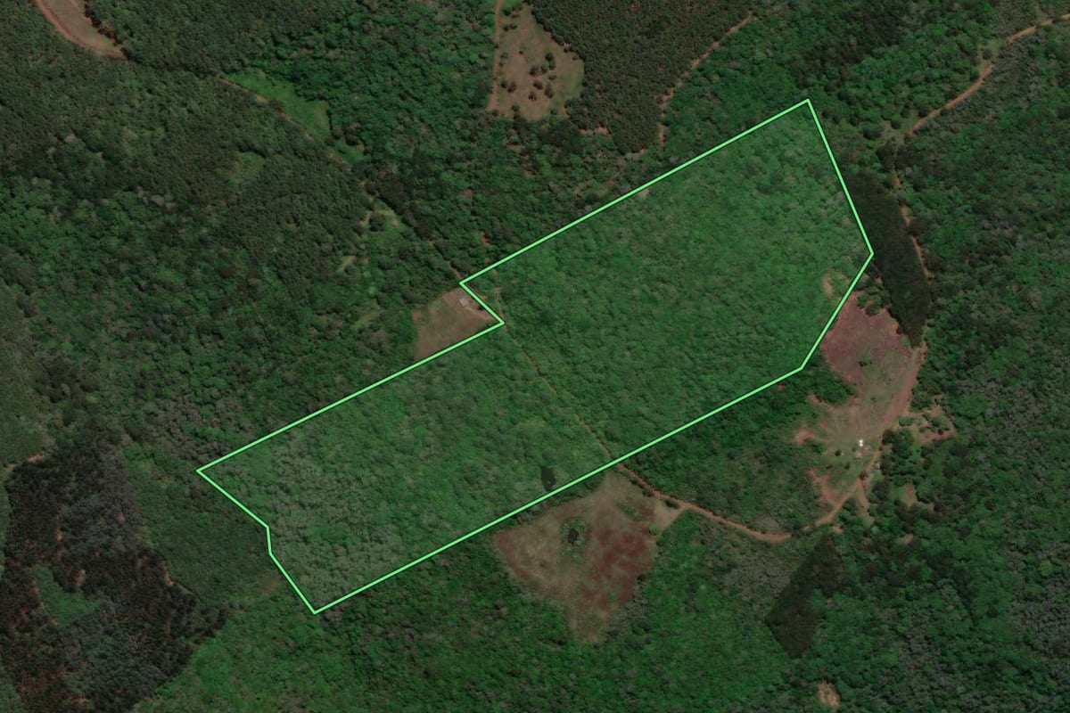 Imagem de satélite do imóvel rural em Caçador (SC), com o contorno declarado no CAR desenhado por cima.