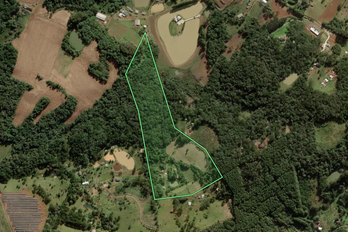 Imagem de satélite do imóvel rural em Caçador (SC), com o contorno declarado no CAR desenhado por cima.