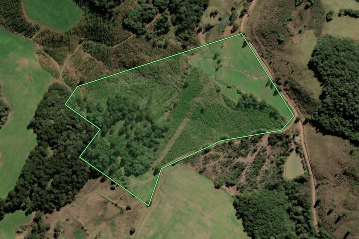 Imagem de satélite do imóvel rural em Caçador (SC), com o contorno declarado no CAR desenhado por cima.