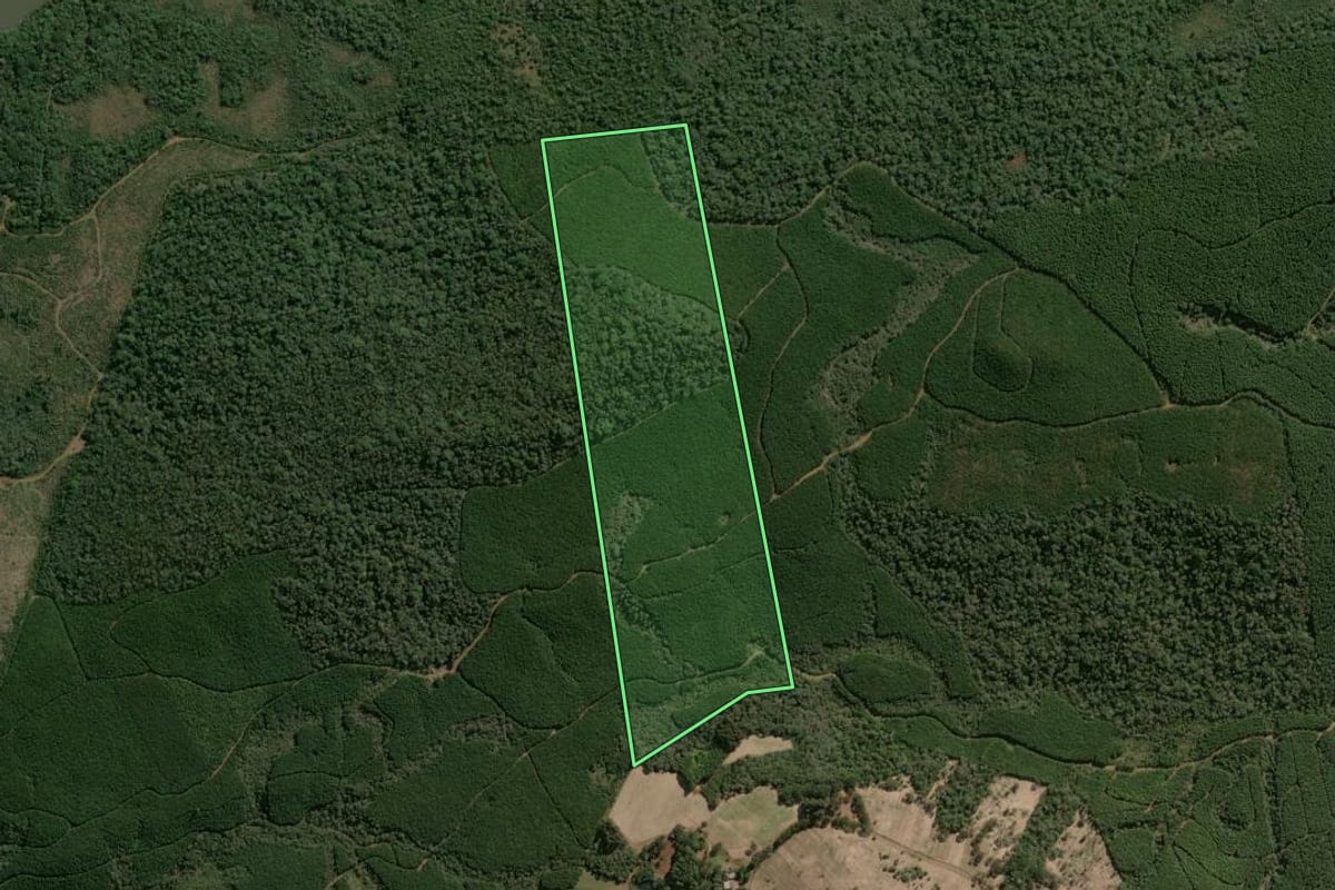 Imagem de satélite do imóvel rural em Caçador (SC), com o contorno declarado no CAR desenhado por cima.